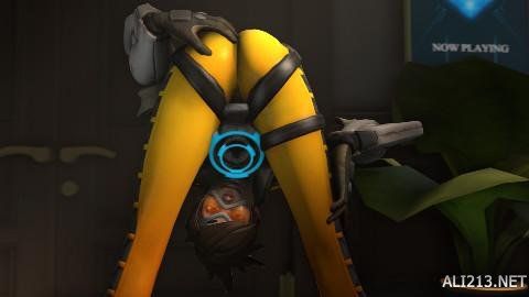 执着与追求 执着与追求