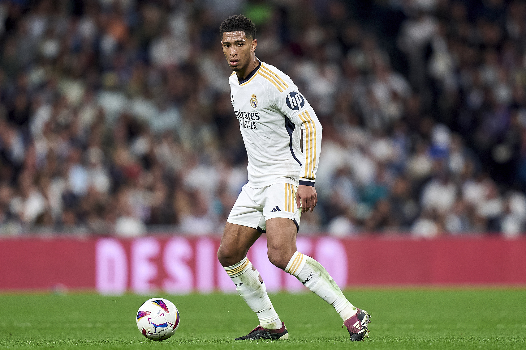 对中国男篮 对中国男篮